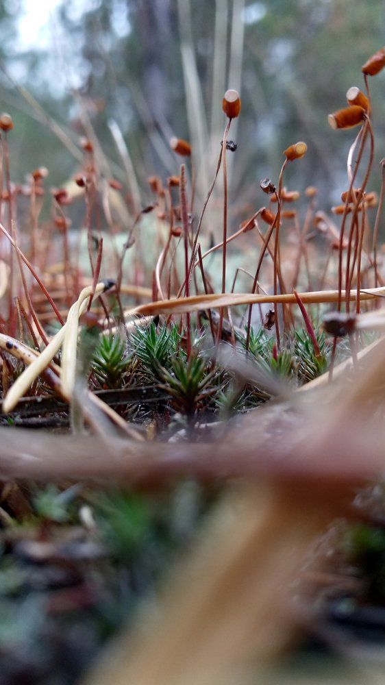 Photograph by Алексей и Юлия Дарьины