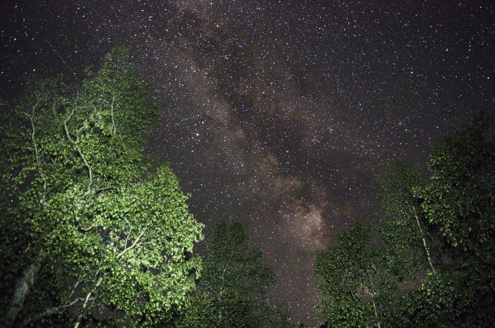 Небо и кроны