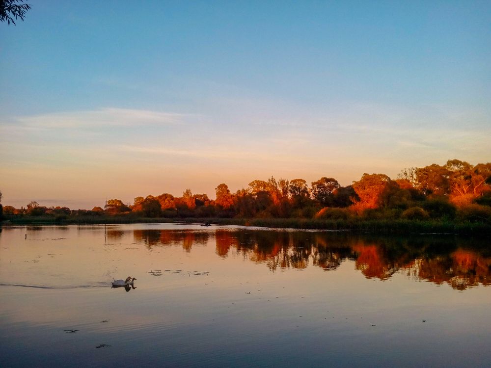 В тишине вечера.