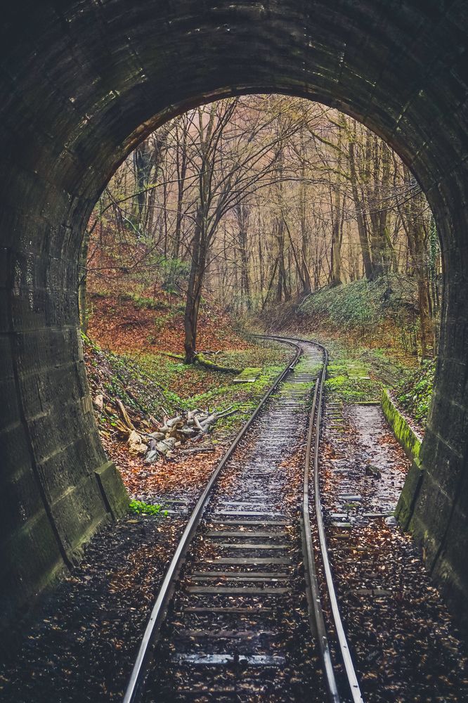 Autumn on the railway