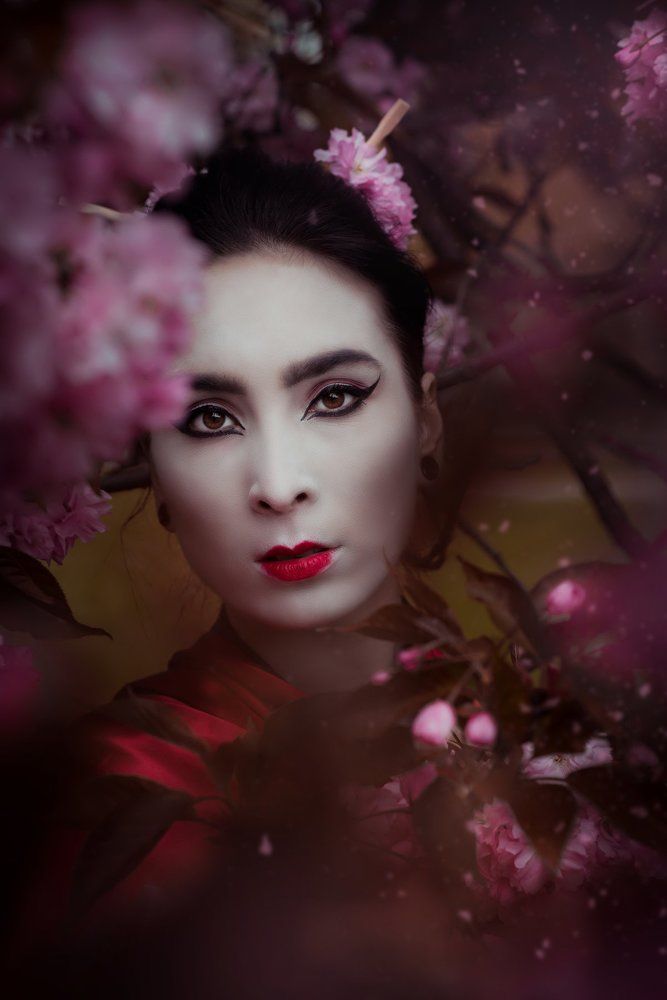 Цветение сакуры.