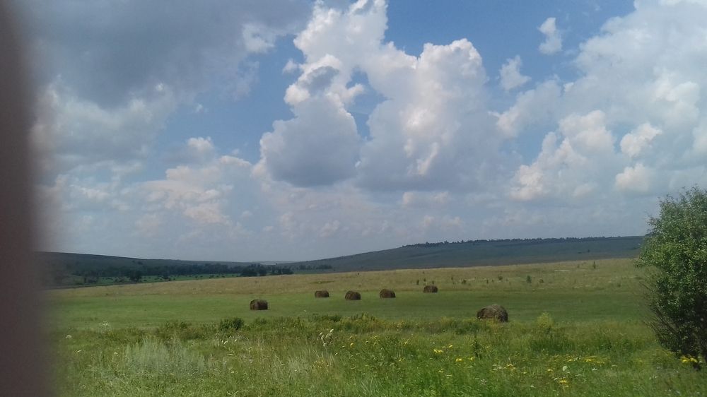 Широкие поля