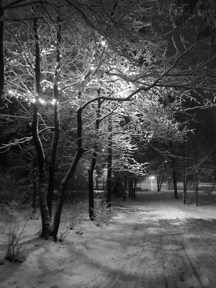 The evening ...Winter road
