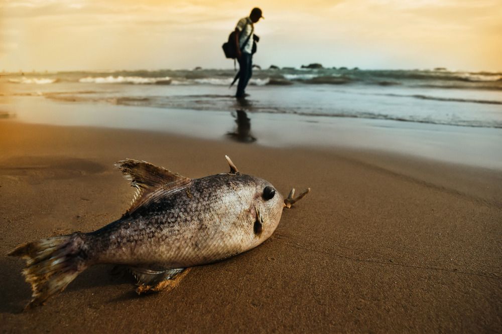 Take me home,To the place,I belong..