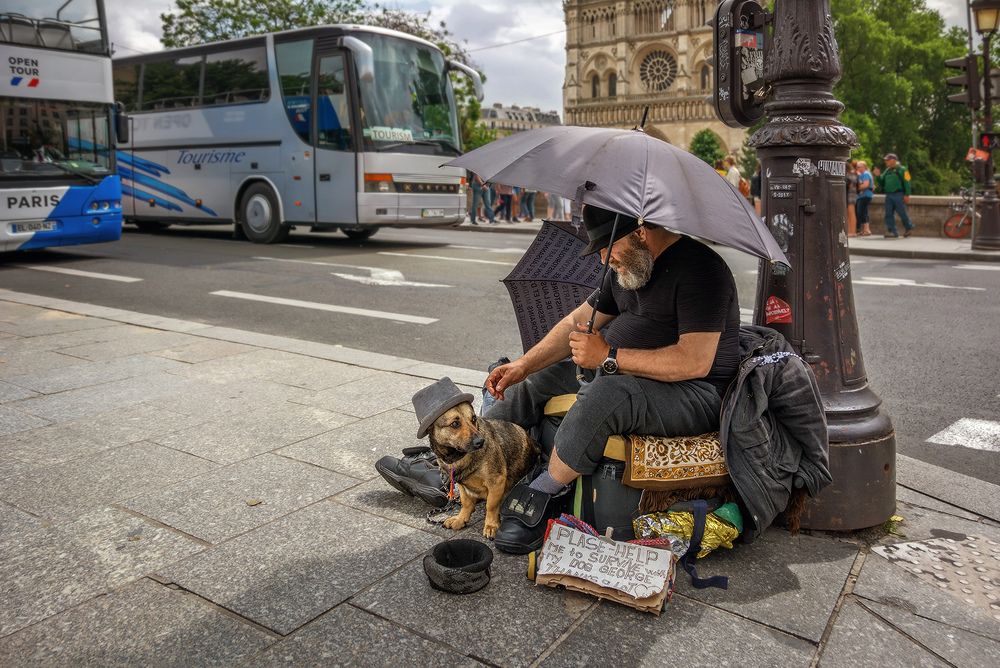 Маленький друг