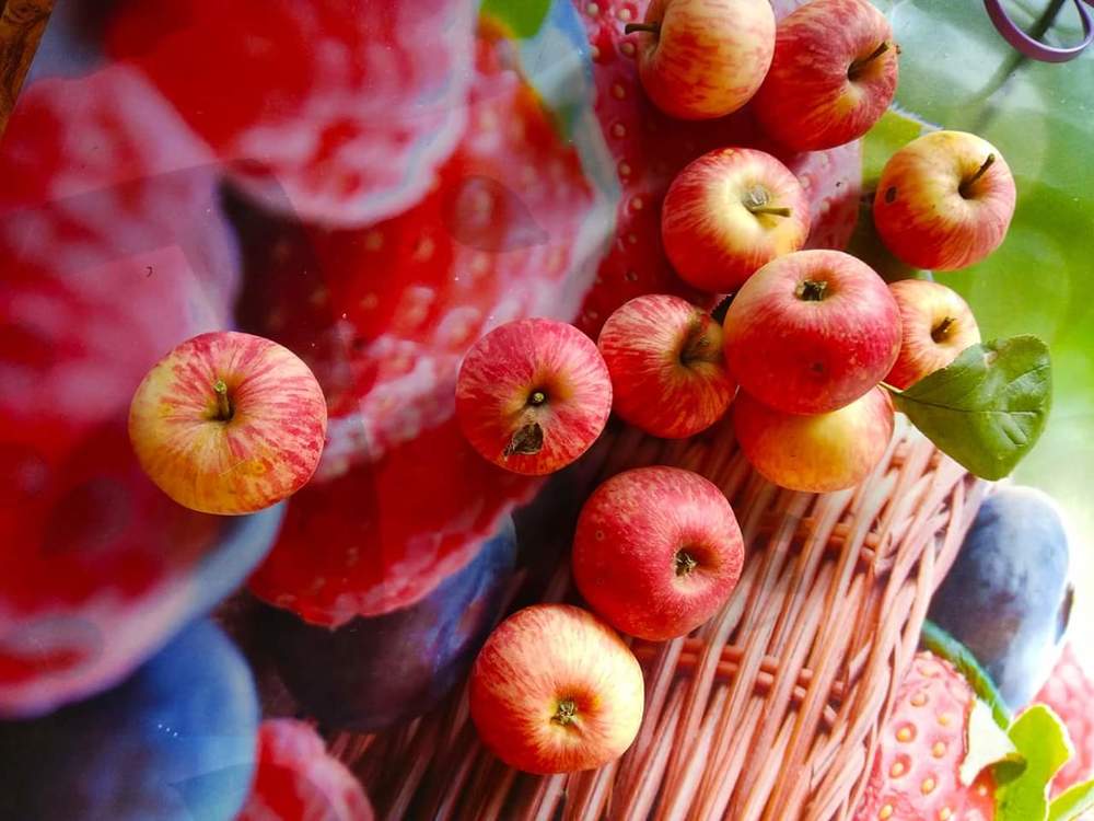 Яблочная симфония