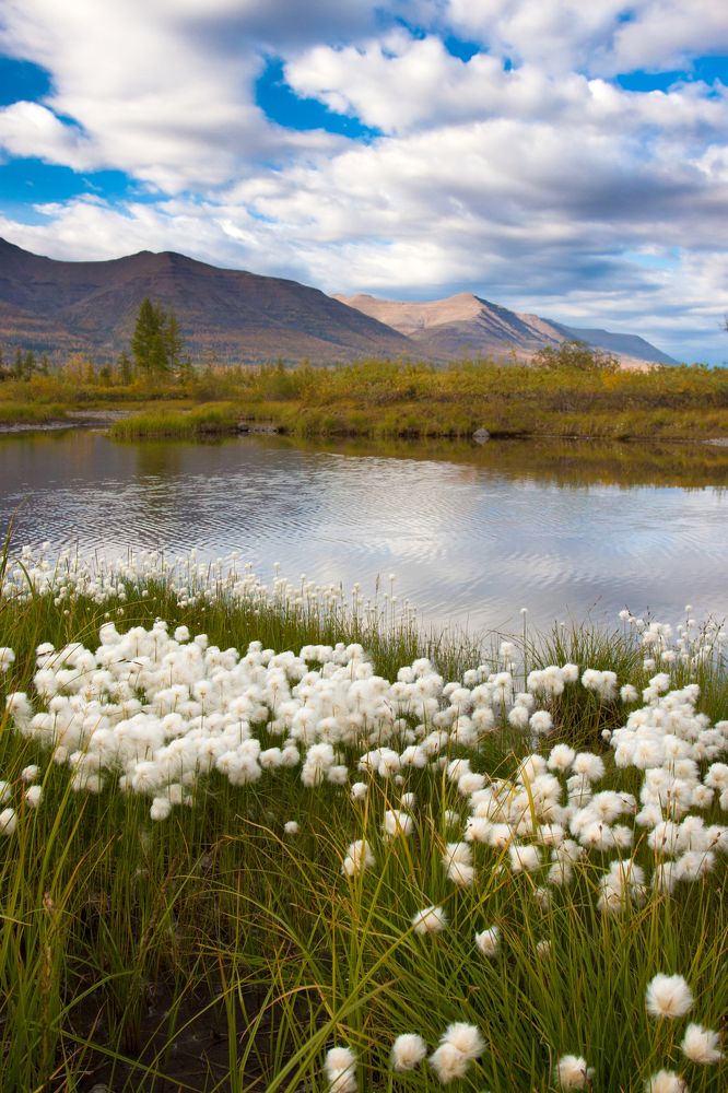 Край земли. Север