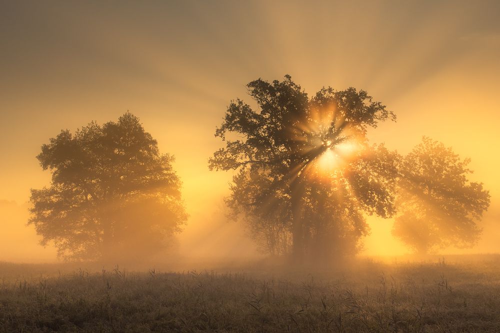 откровение
