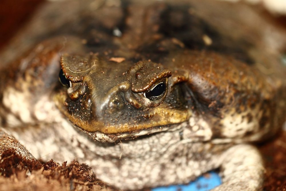 Утро добрым не бывает...