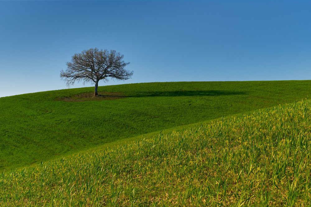 Утро в Тоскане