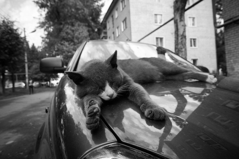 Photograph by Сергей Бобиков