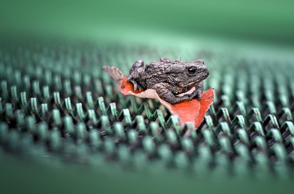 Photograph by Ekaterina Fadeeva