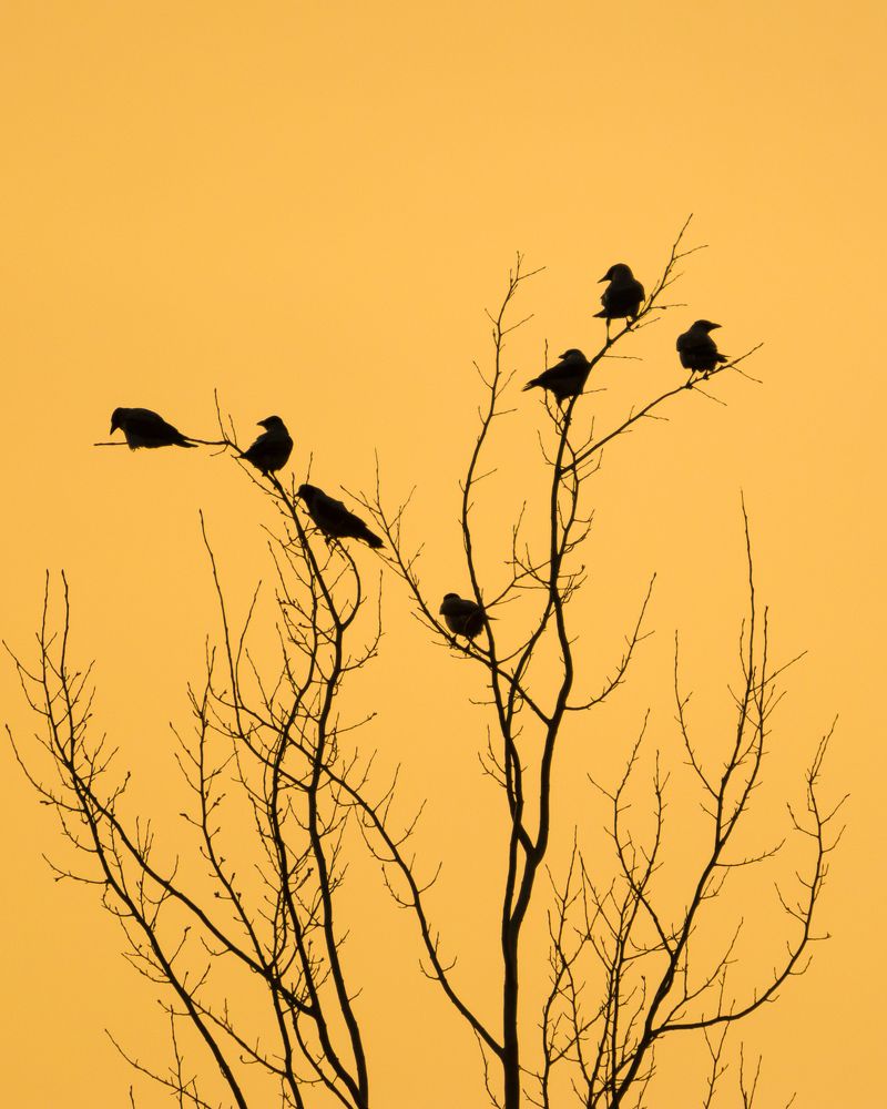 Photograph by Роман Фабричный