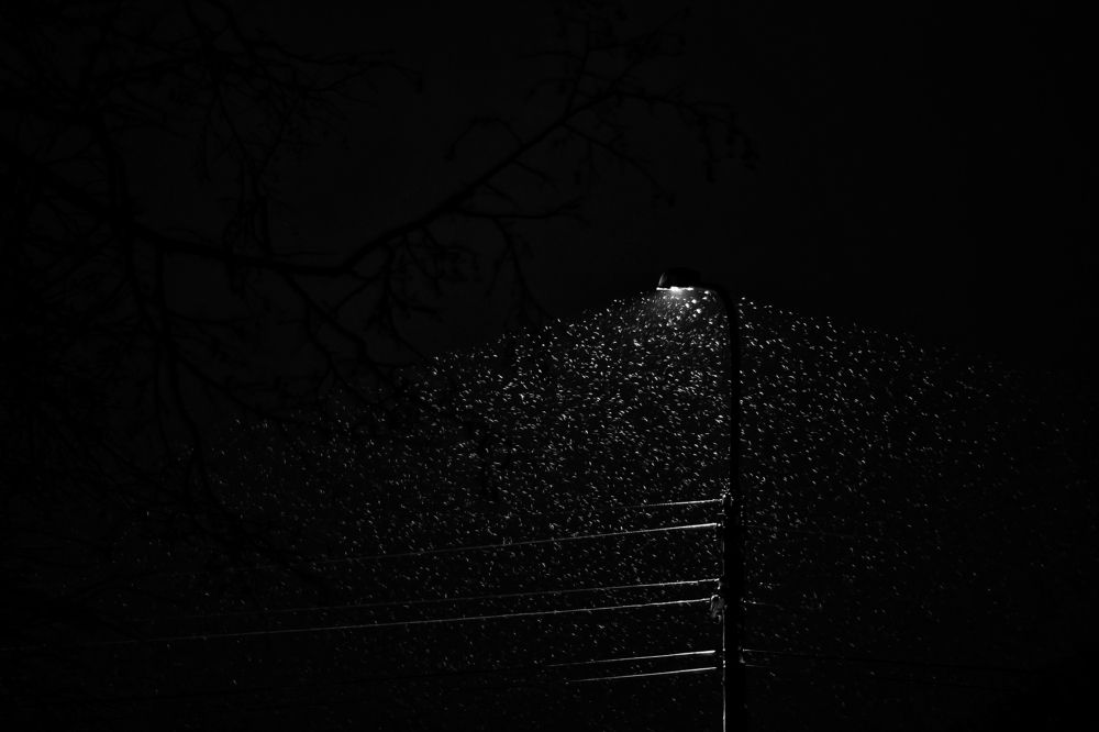 Ночь, улица, фонарь...