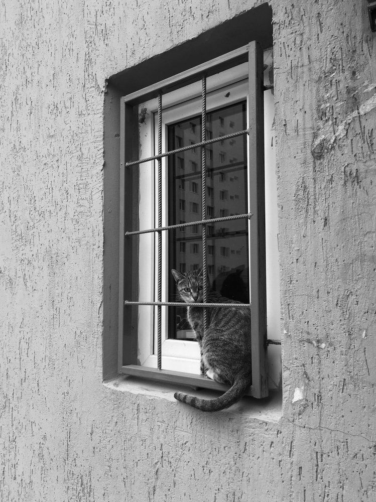 В ожидании...