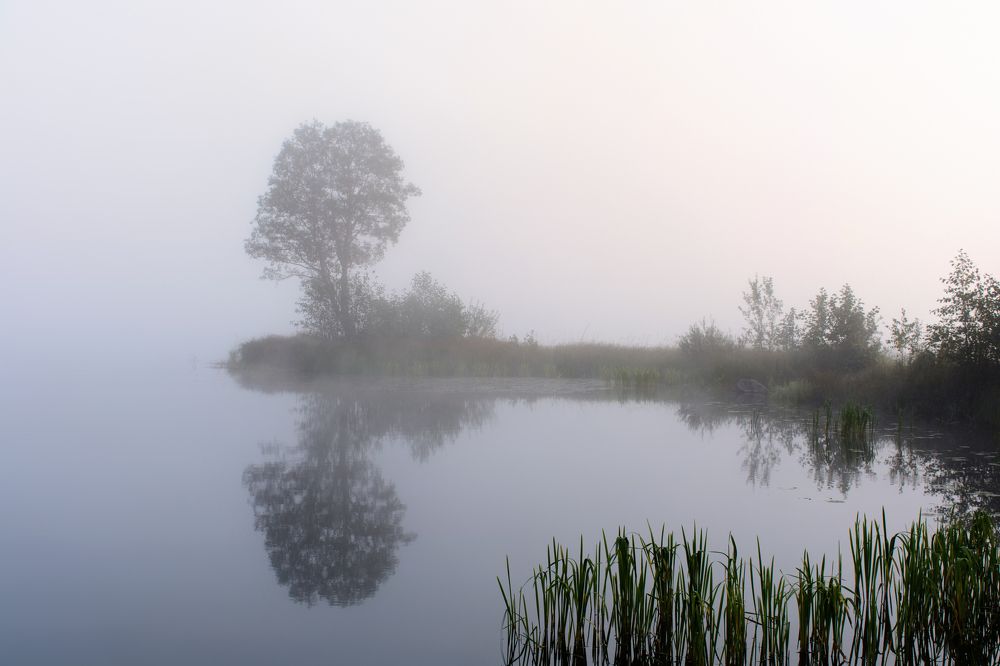 Предрассветный туман на реке