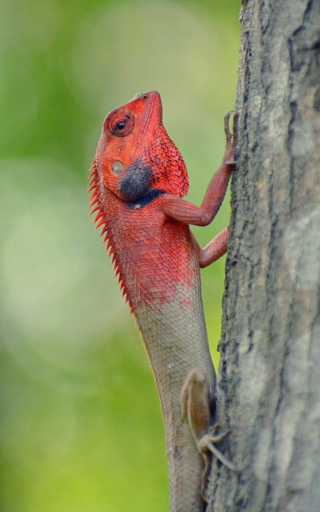 Photograph by Sharif Ullah