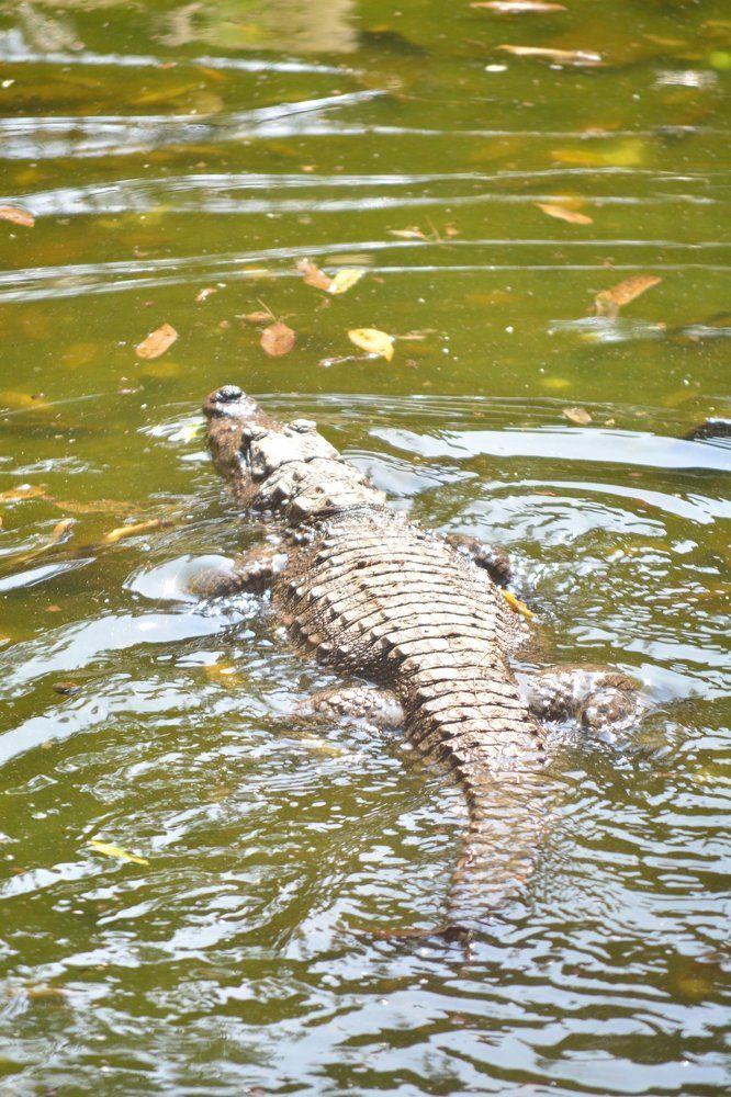 Photograph by Sharif Ullah