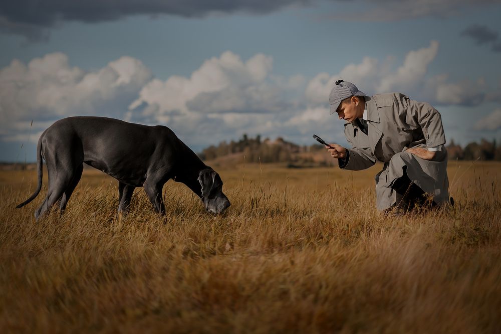 По следам Конан Дойля:)