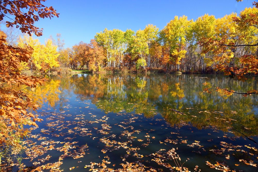 Осеннее тепло.