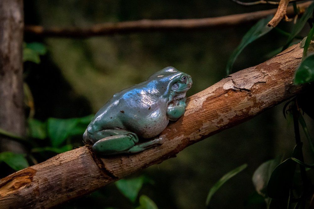 Photograph by Сергей Марценович