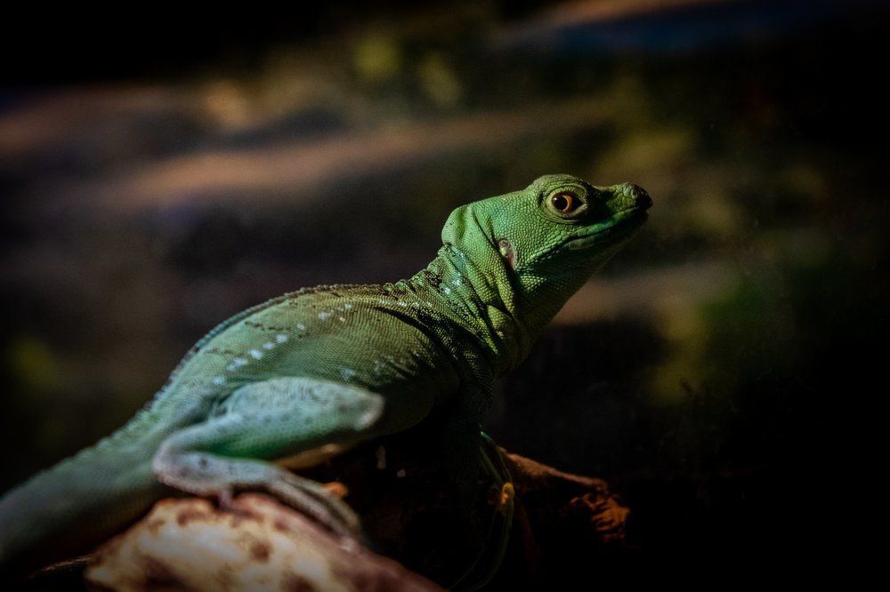 Photograph by Сергей Марценович