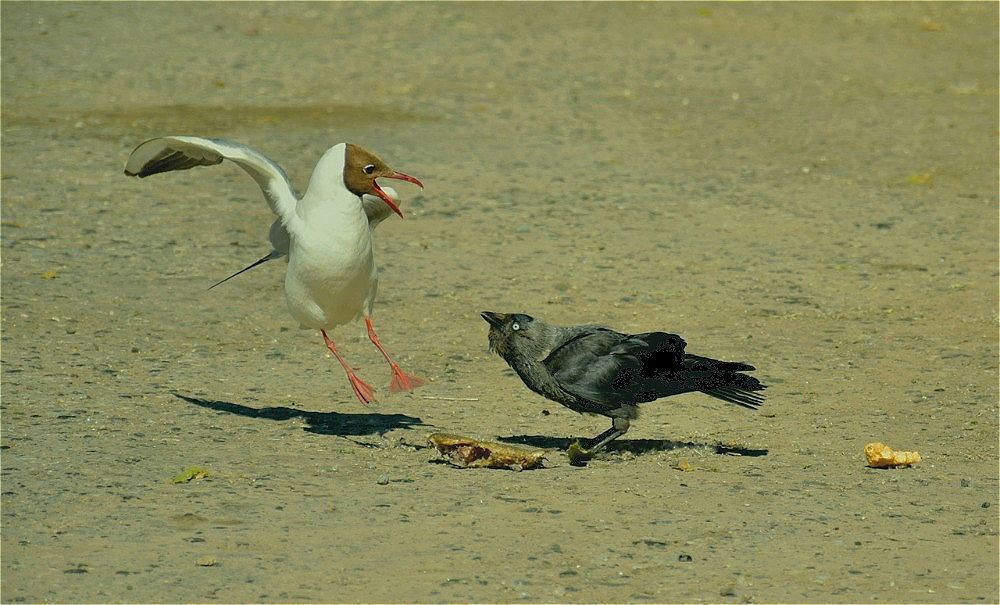 Photograph by Никита Николаевич Данилов