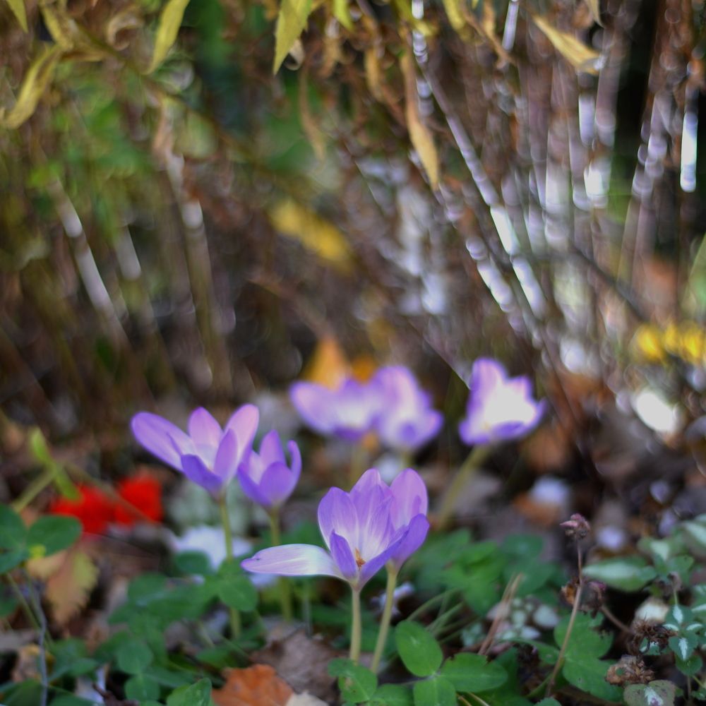 Фотография автора Степин Геннадий