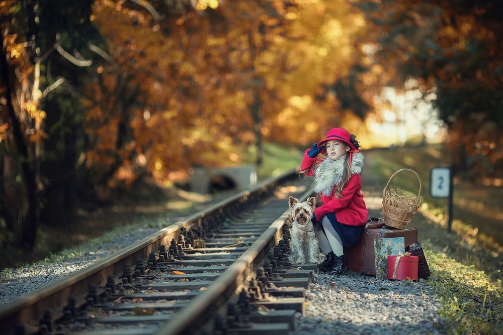Дама сдавала в багаж...