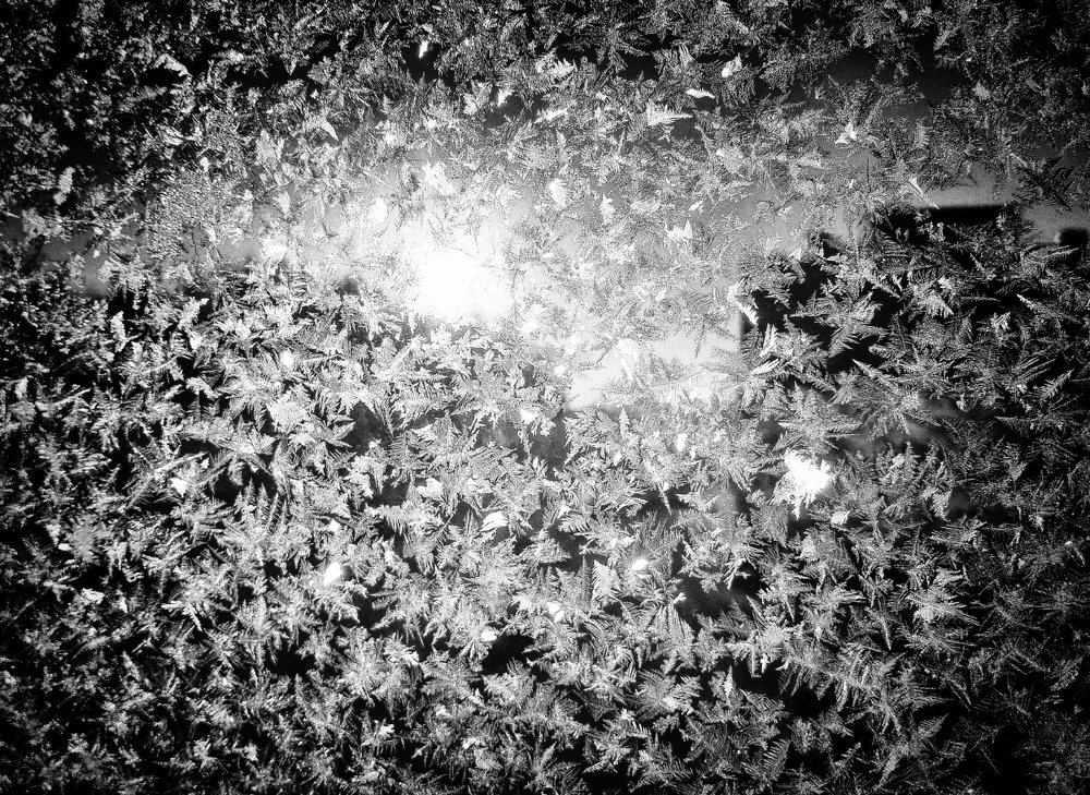 Снежное шоу