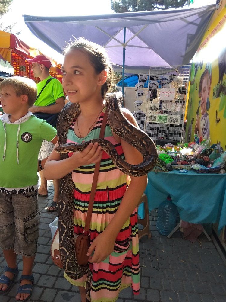 Красивый боа))