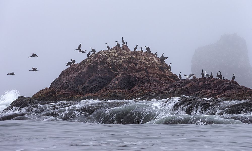 Островок в Охотском море