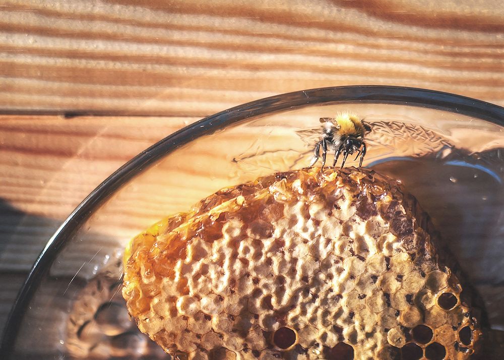 Photograph by Cath. B.