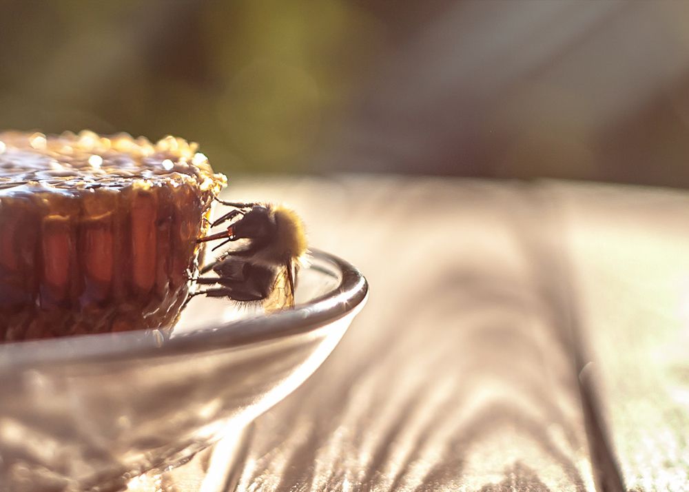 Photograph by Cath. B.