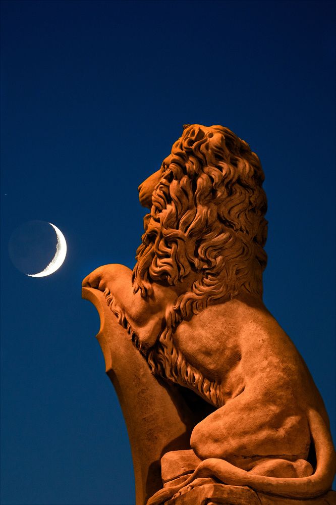 La Luna ed il Leone