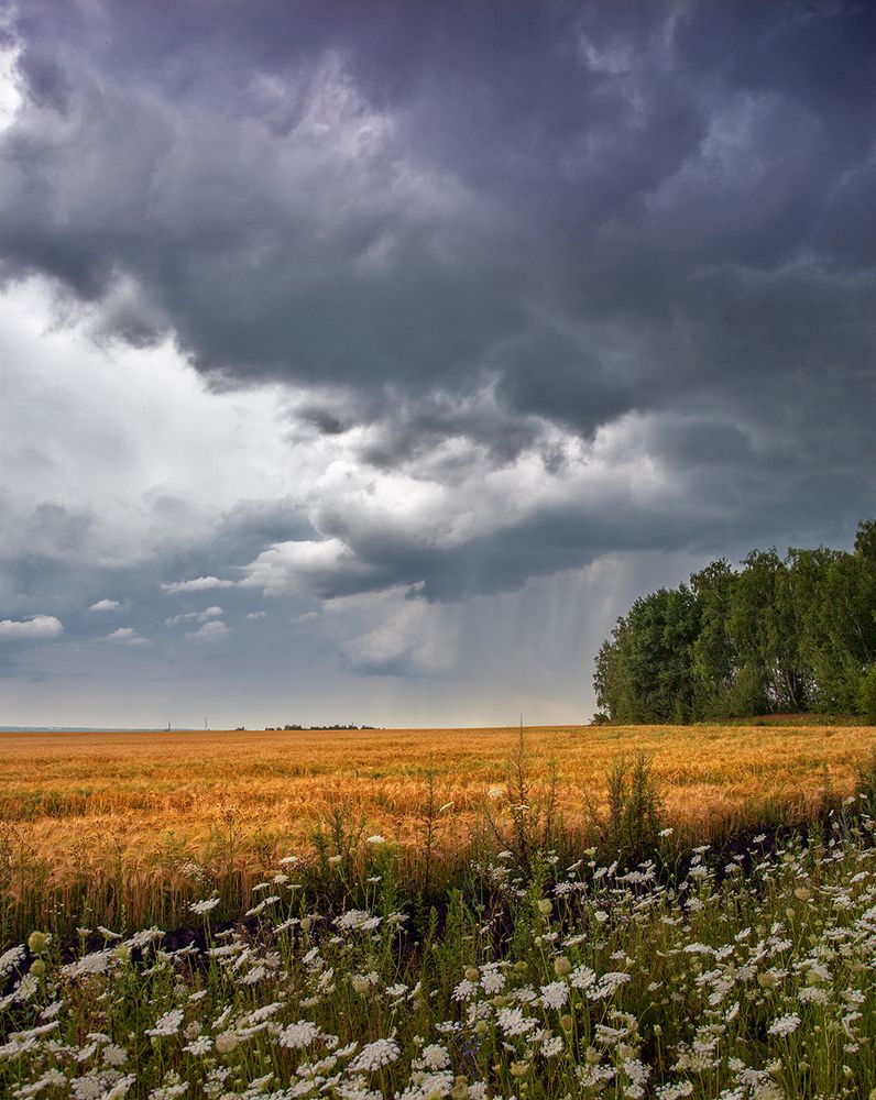 Photograph by Сергей