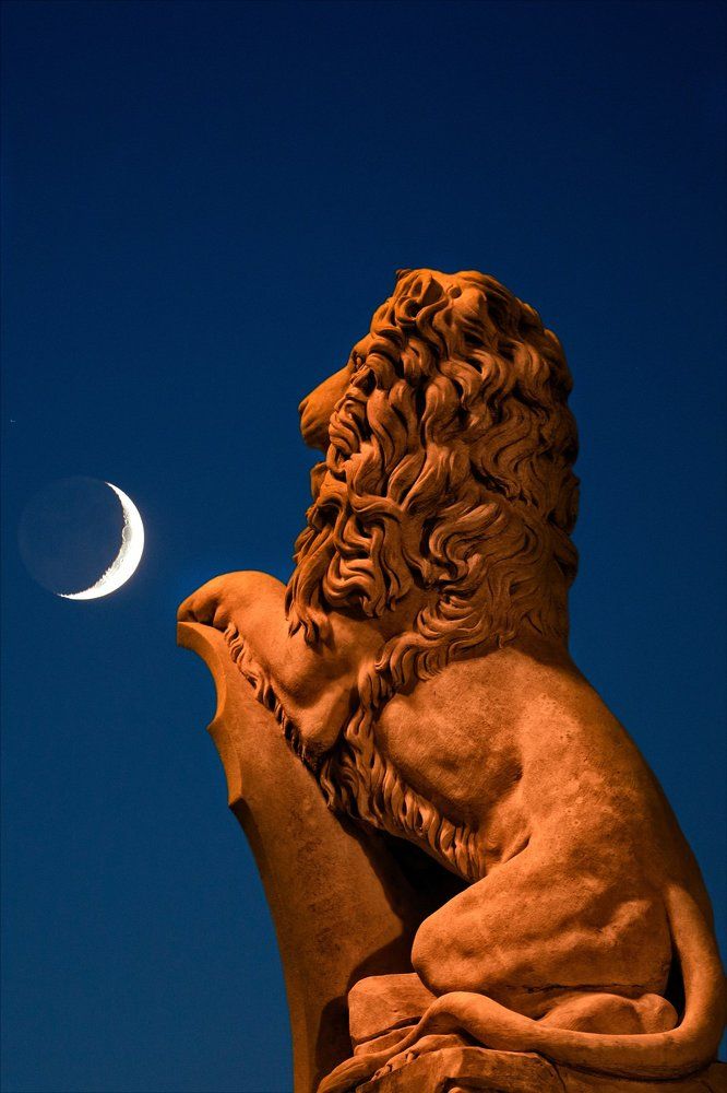 La Luna ed il Leone