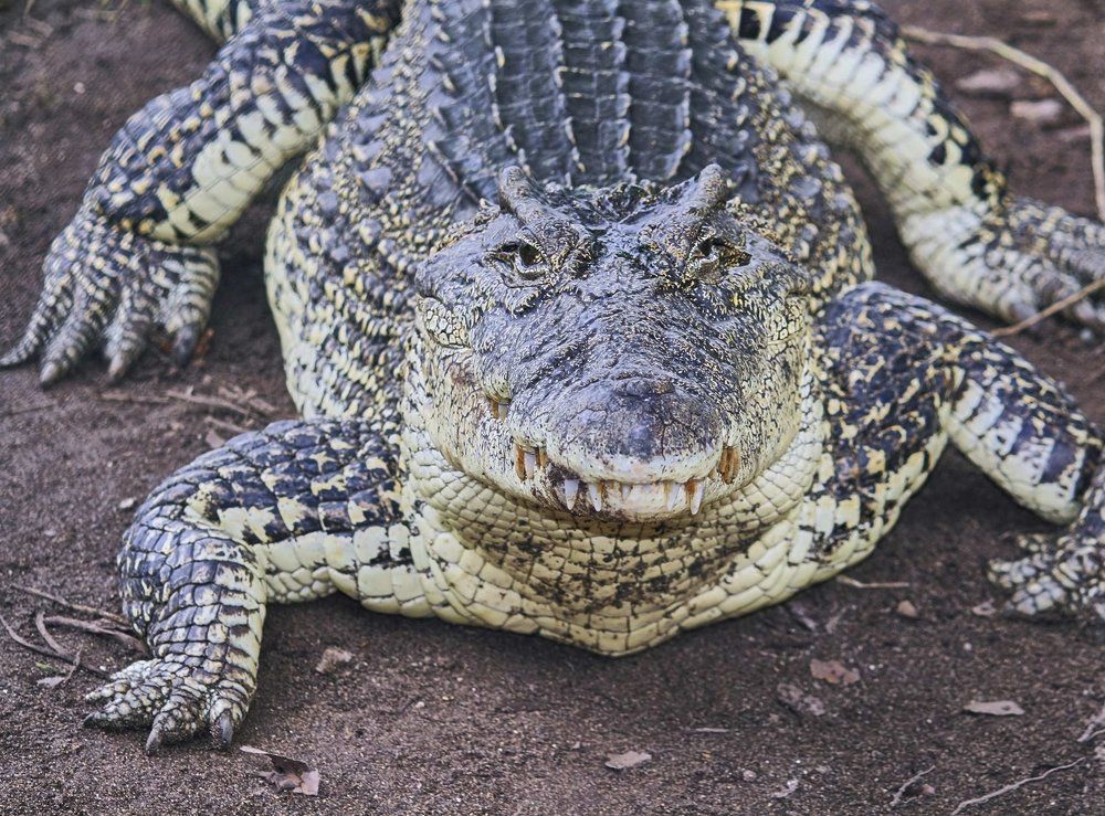 Ну, здравствуй, завтрак