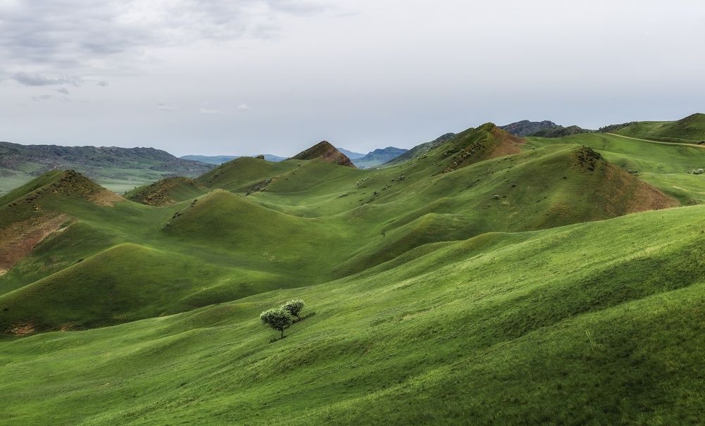 На холмах Грузии