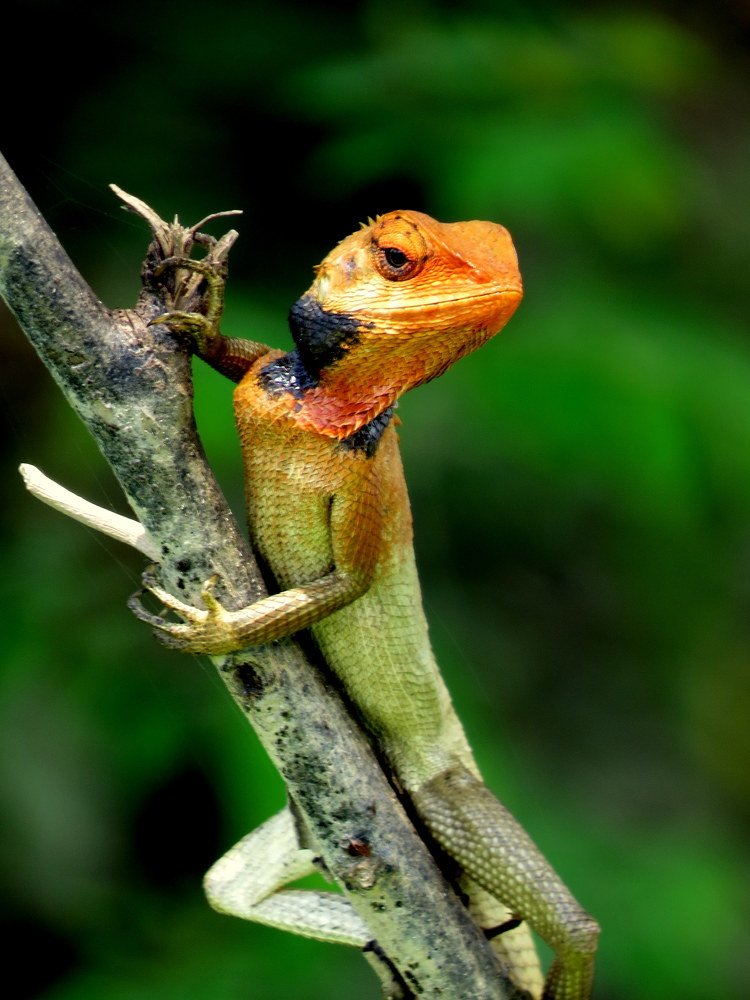 Posing for photo shoot