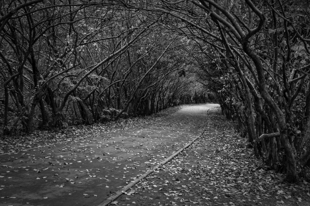 Осень в парке.