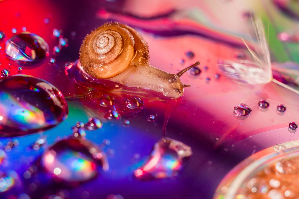 Photograph by Гилева Ольга