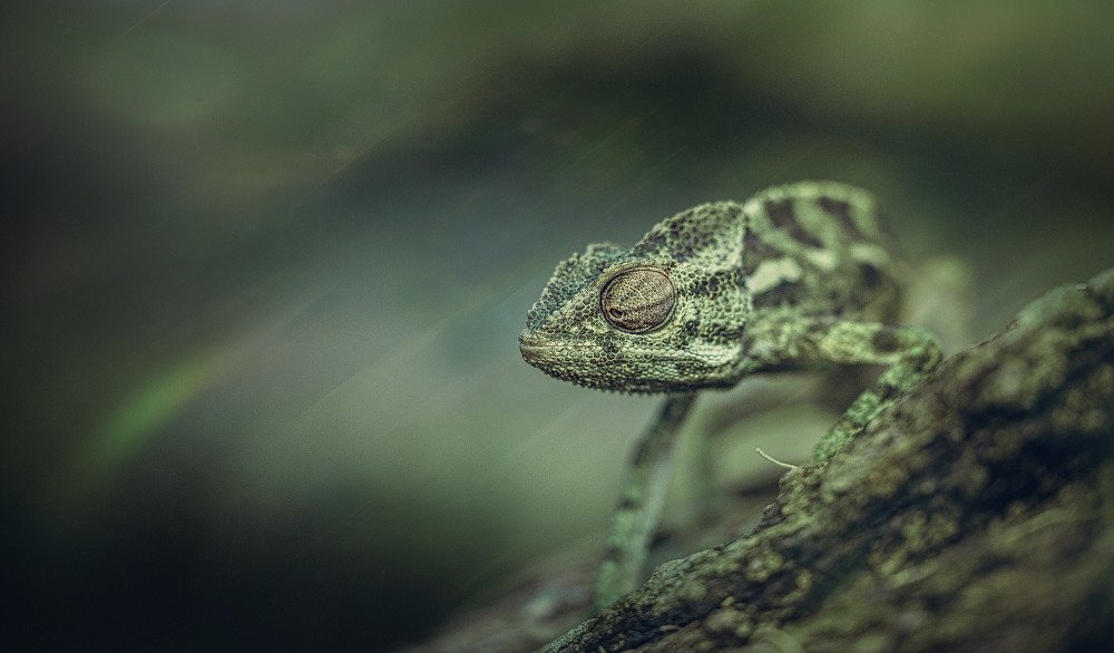 Photograph by ferhad turan