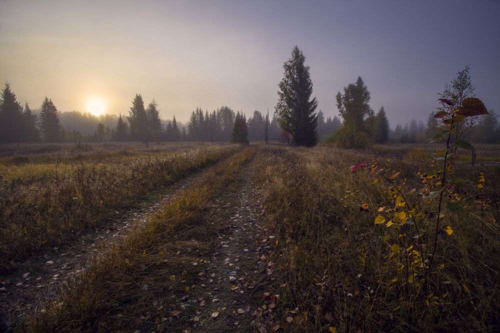 Photograph by Andrey Fedoseev