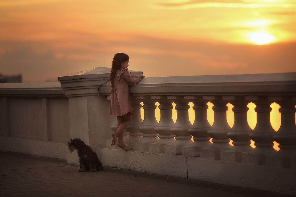 Верные друзья