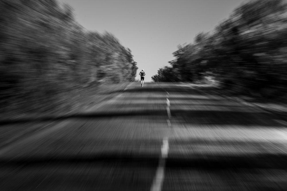 Дорожный Бегун / Road Runner