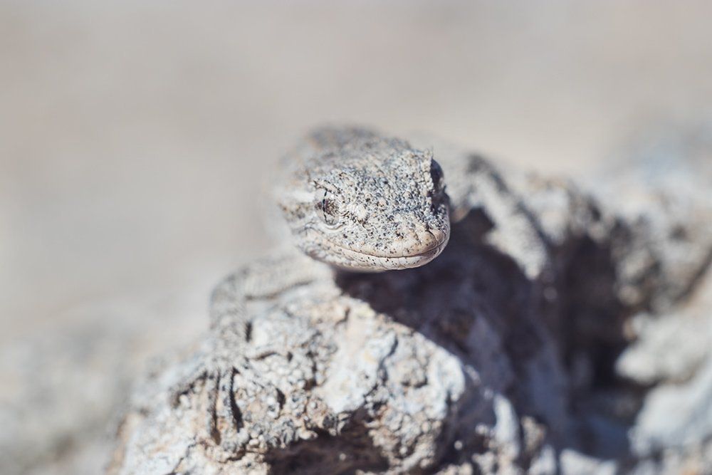 Photograph by Maria Tripoten