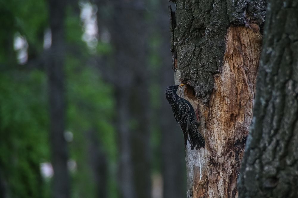 Время кормления