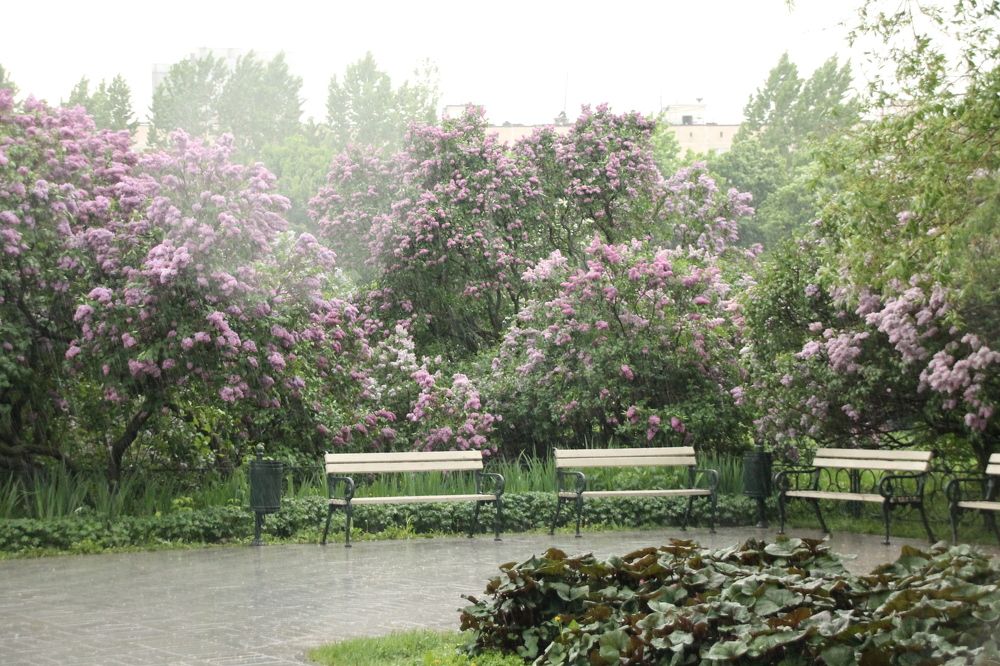 Photograph by Александр Борисов