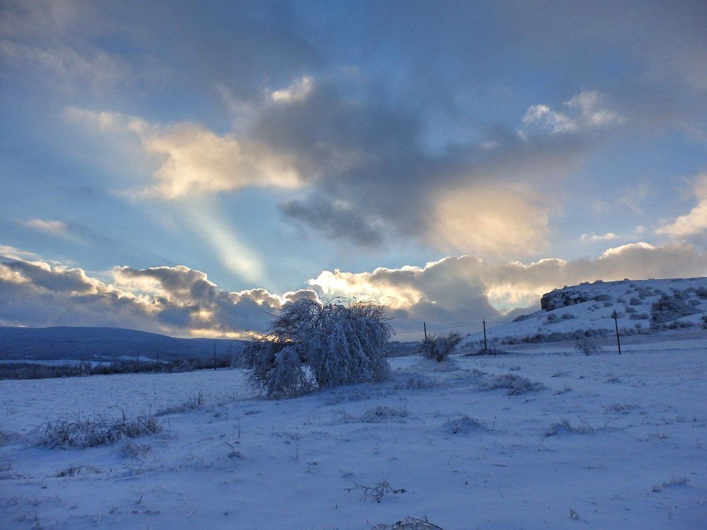 Photograph by Агния